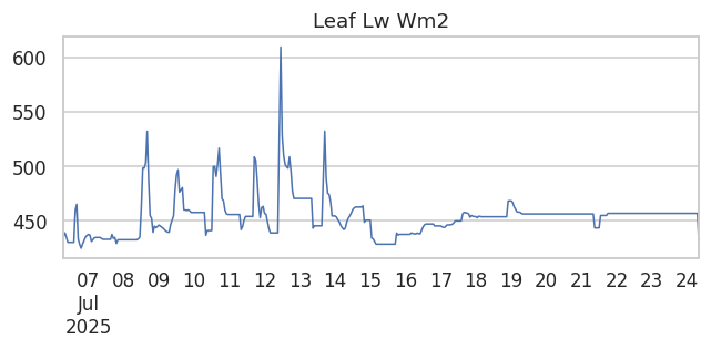 Leaf Lw Wm2