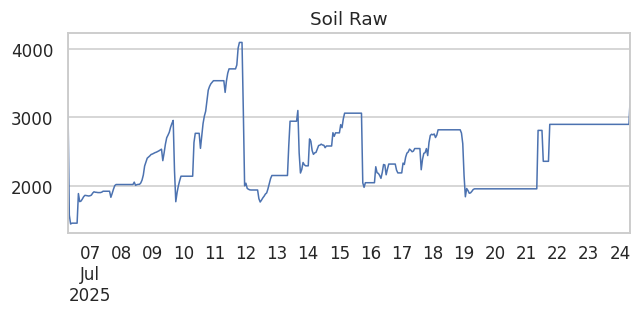 Soil Raw