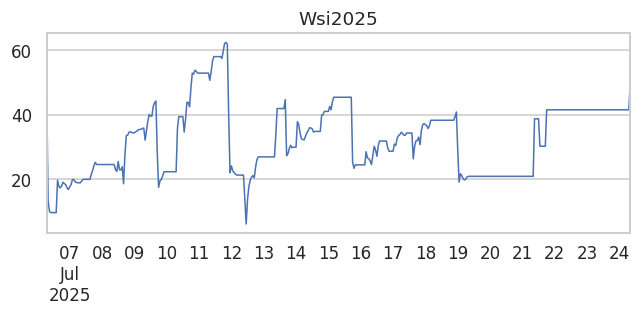 Wsi2025